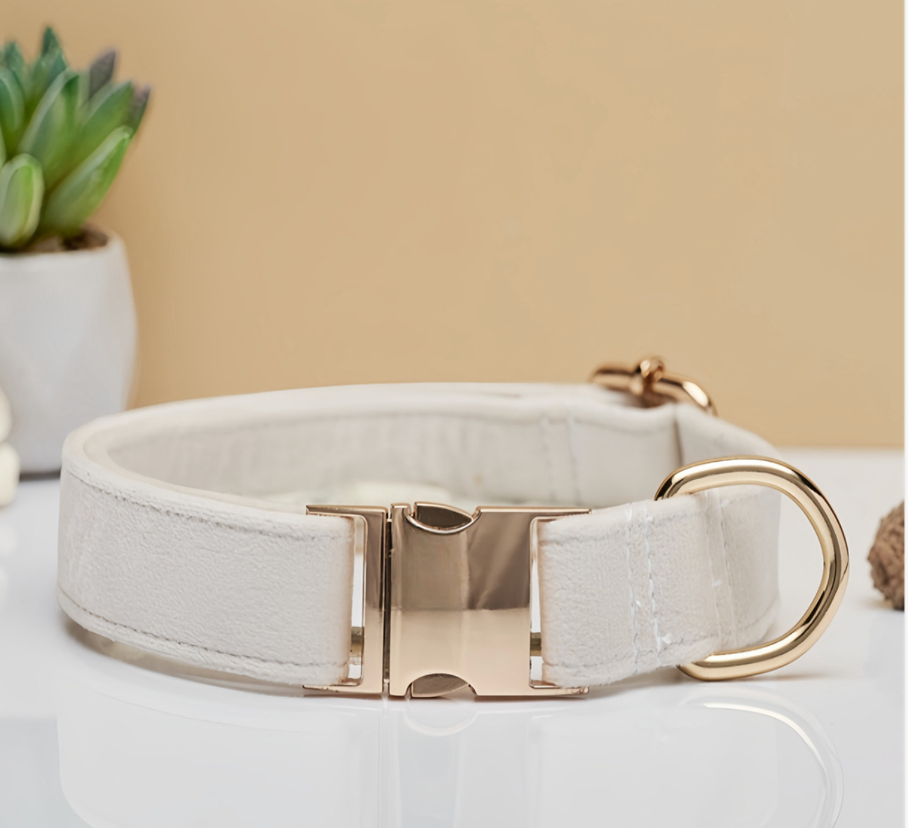 Durable Dog Collar with Metal Buckle - Adjustable Nylon Pet Collar