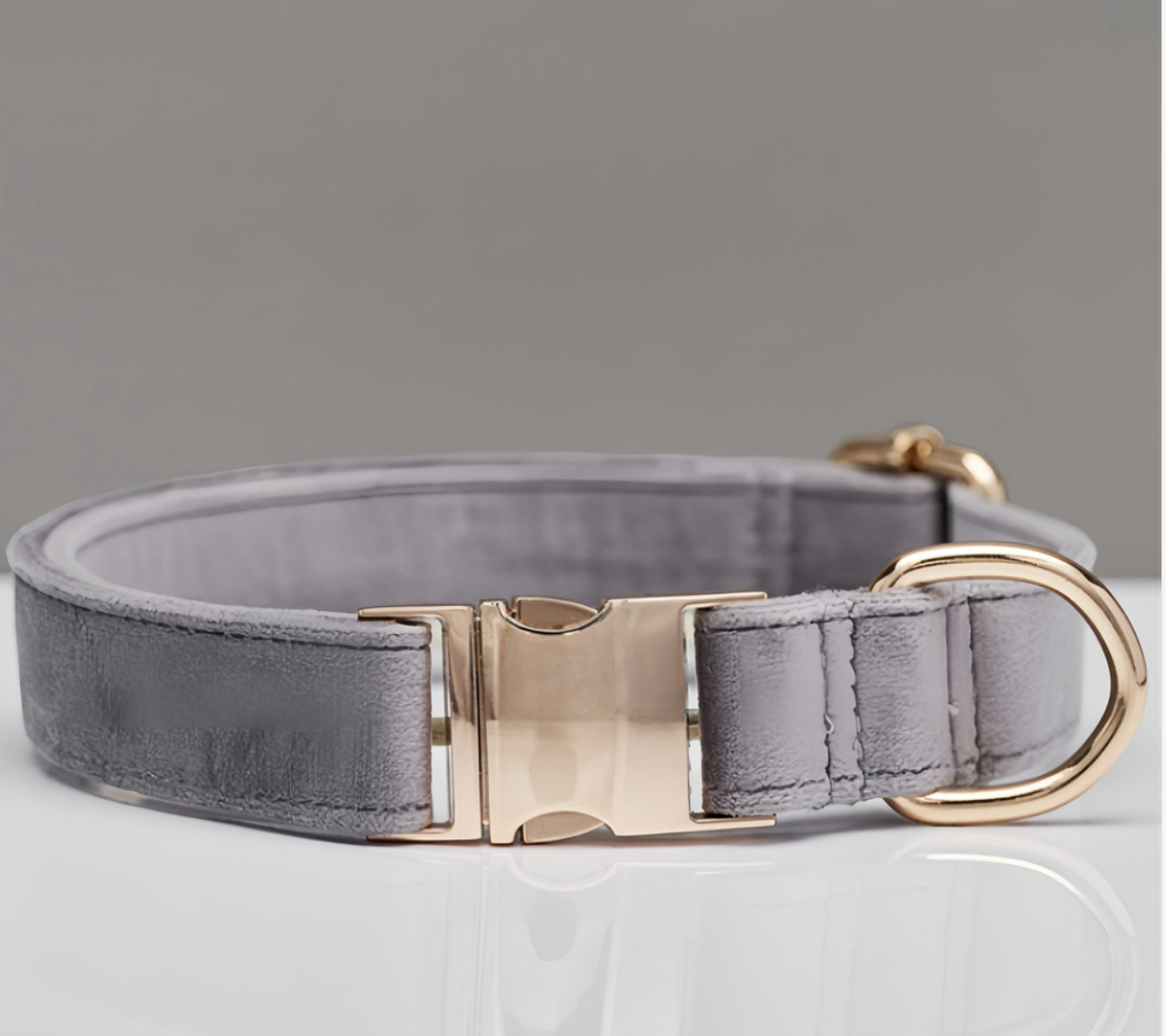 Durable Dog Collar with Metal Buckle - Adjustable Nylon Pet Collar